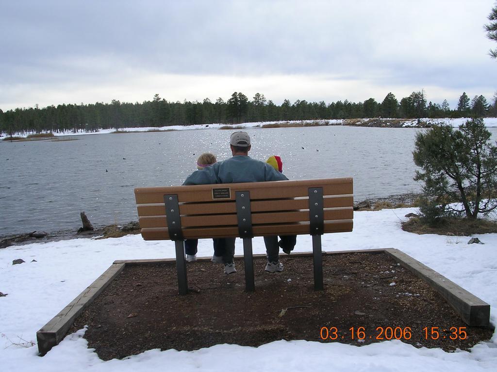 Adair Springs Cabin Pinetop-Lakeside Exteriér fotografie