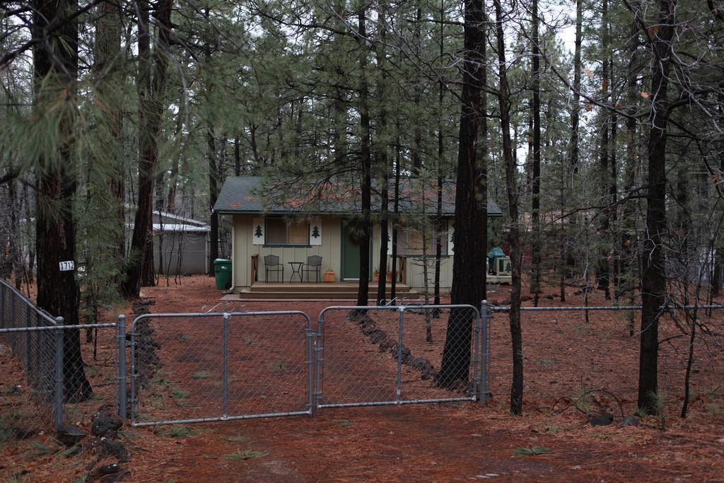 Adair Springs Cabin Pinetop-Lakeside Exteriér fotografie